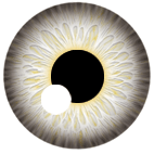 ResinRapture eye templates – ResinRapture