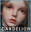 Dandelion Dante - Iplehouse FID Bianca